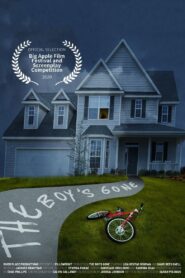 The Boy’s Gone 2020 one on netflix
