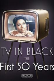 TV in Black: The First Fifty Years 2004 one on netflix