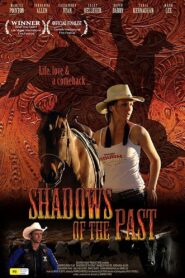 Shadows of the Past 2009 one on netflix