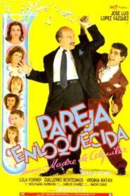 Maddened Couple Seeks Surrogate Mother 1990 one on netflix