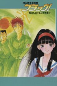 Saitama Bousou Saizensen Flag! Shinimonogurui no Seishun!! 1994 one on netflix