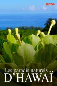 Hawaiis versteckte Paradiese 2022 one on netflix