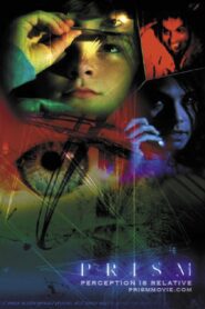 Prism 2007 one on netflix