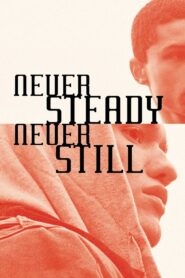 Never Steady, Never Still 2015 one on netflix