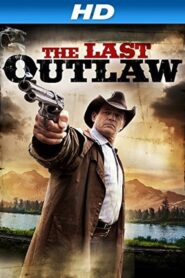 The Hunt for Johnny Ringo 2014 one on netflix