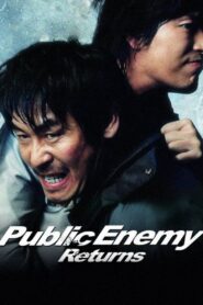 Public Enemy Returns 2008 one on netflix
