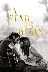A Star Is Born 2018 one on netflix