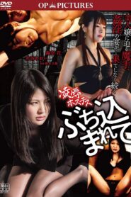 Ryōjoku hostess: Buchikomarete 2019 one on netflix