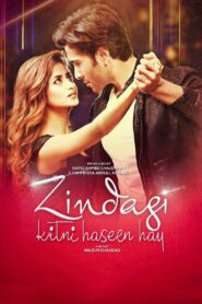 Zindagi Kitni Haseen Hay 2016 one on netflix