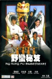 My Kung Fu Sweetheart 2006 one on netflix