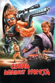 Cobra Against Ninja 1987 one on netflix