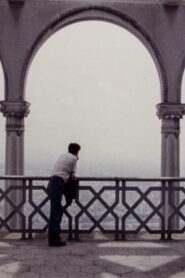 During the Many Years 1992 one on netflix
