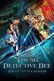 Young Detective Dee: Rise of the Sea Dragon 2013 one on netflix