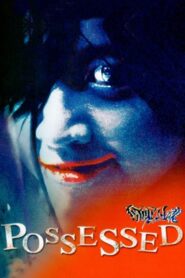 Possessed 2002 one on netflix