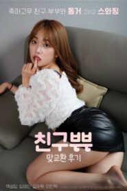 Friend Couples Exchange Review 2024 one on netflix