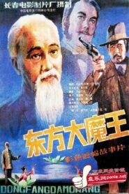 东方大魔王 1984 one on netflix