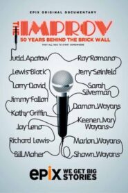 The Improv: 50 Years Behind the Brick Wall 2013 one on netflix