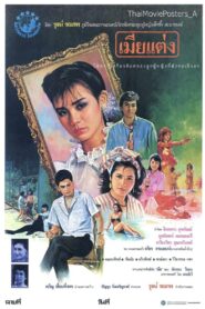 Legal Wife 1986 one on netflix