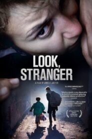 Look, Stranger 2010 one on netflix