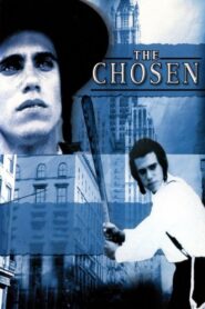 The Chosen 1981 one on netflix