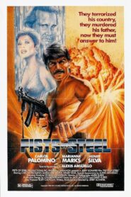 Fists Of Steel 1991 one on netflix