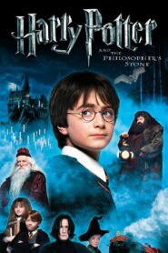 Harry Potter and the Philosopher’s Stone 2001 one on netflix
