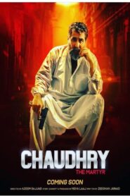 Chaudhry 2022 one on netflix