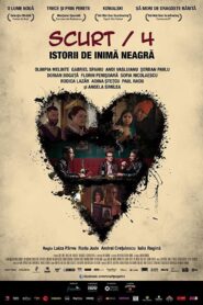 Scurt/4: Istorii de inimã neagrã 2014 one on netflix