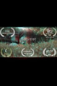 Harvest 2024 one on netflix