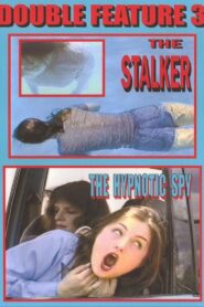 The Stalker 1997 one on netflix