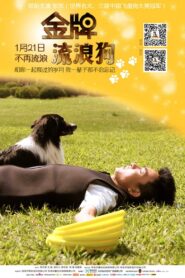 A Gold Medal Winning Tramp Dog 2014 one on netflix