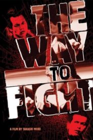 The Way to Fight 1996 one on netflix
