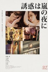 The Temptation Came at Stormy Night 2016 one on netflix
