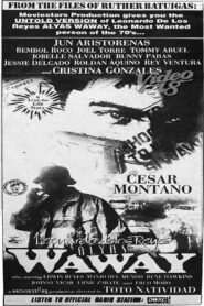 Leonardo Delos Reyes: Alyas Waway 1993 one on netflix