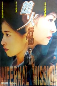 Infernal Mission 2004 one on netflix