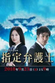 Designated Lawyer 2018 one on netflix