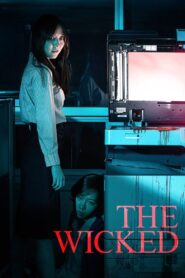 The Wicked 2014 one on netflix