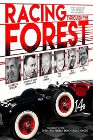 Racing Through the Forest 2016 one on netflix