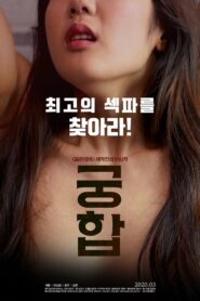 Compatibility 2020 one on netflix