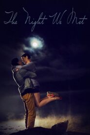 The Night We Met 2016 one on netflix