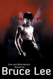 The Curse of the Dragon 1993 one on netflix