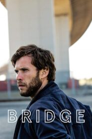 Bridge 2016 one on netflix