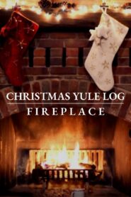 Christmas Yule Log Fireplace 2020 one on netflix