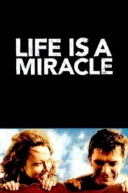 Life Is a Miracle 2004 one on netflix