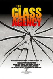 The Glass Agency 1998 one on netflix