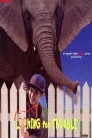 Looking for Trouble 1996 one on netflix