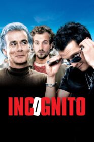 Incognito 2009 one on netflix