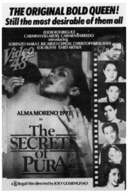 Secrets of Pura 1991 one on netflix