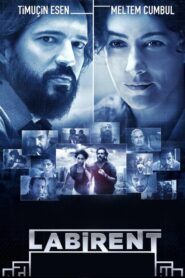 Labyrinth 2011 one on netflix