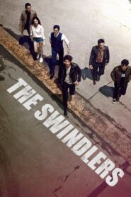 The Swindlers 2017 one on netflix